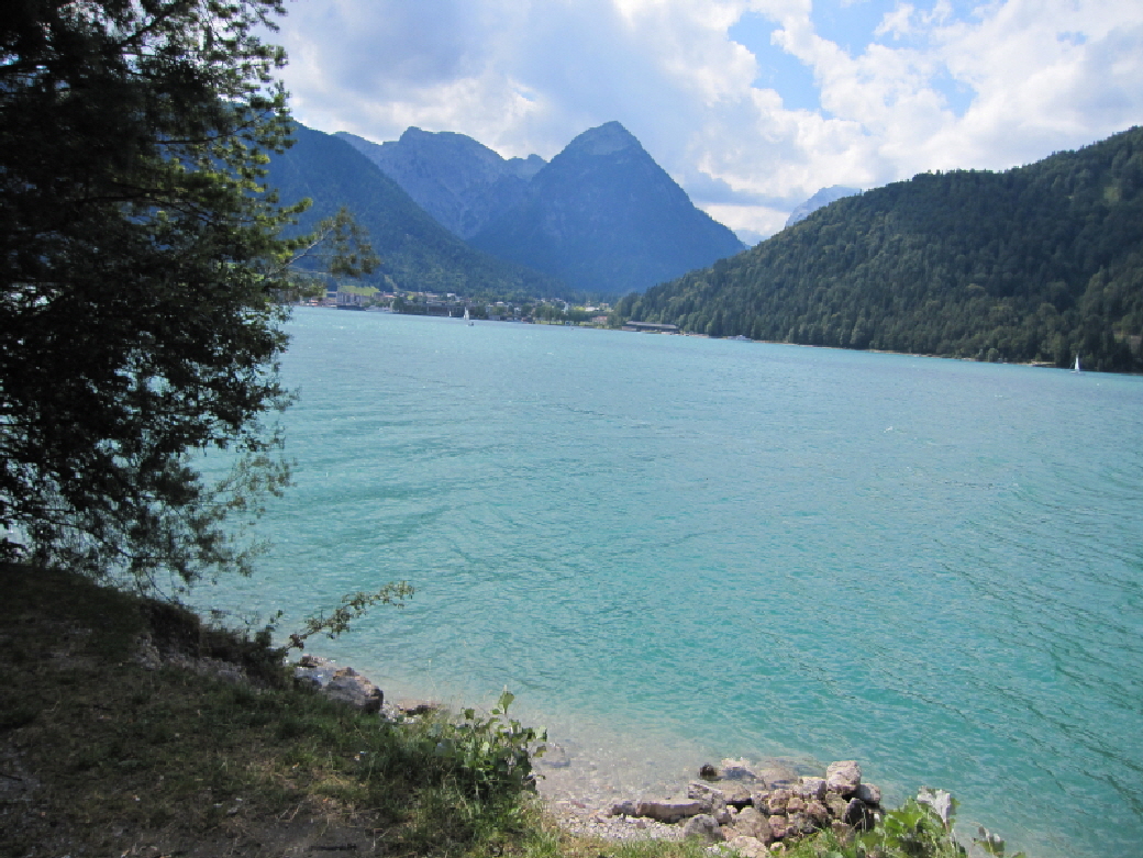 IMG_1353_1_1