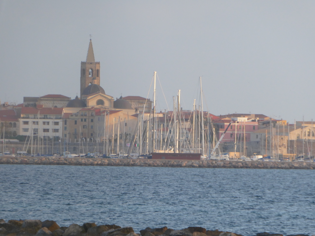 P1000843_1
