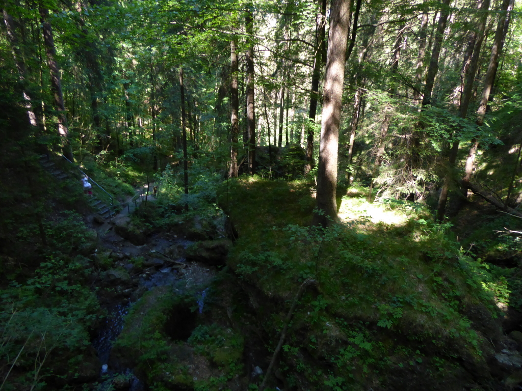 P1020648_3_1