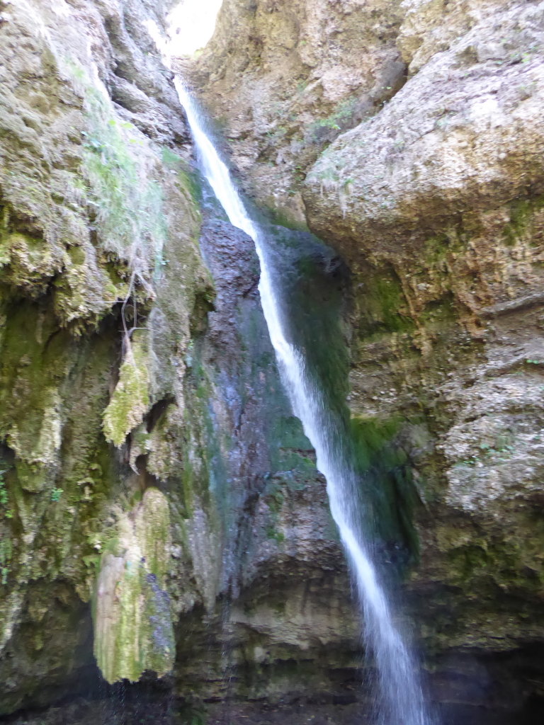 P1020650_3_1