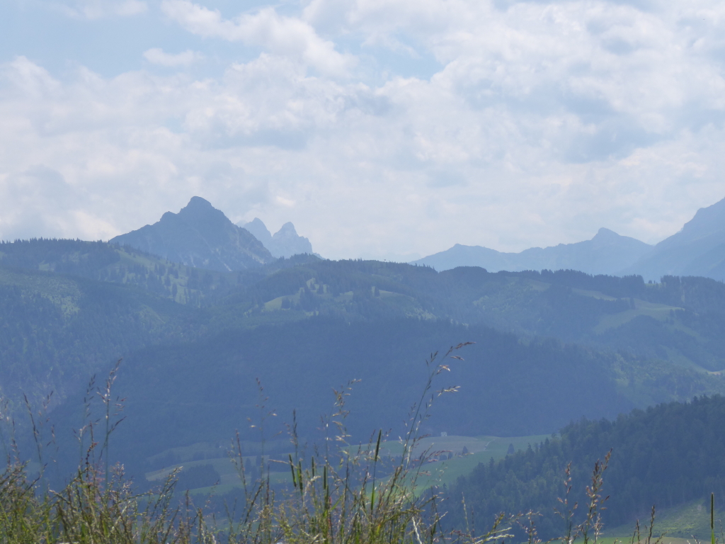 P1020679_1