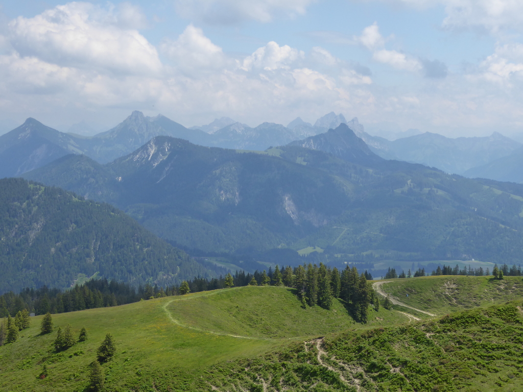 P1020689_1