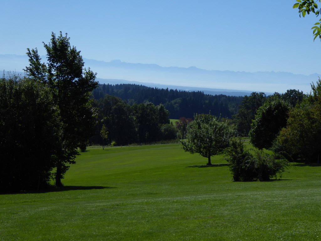 P1000167_1