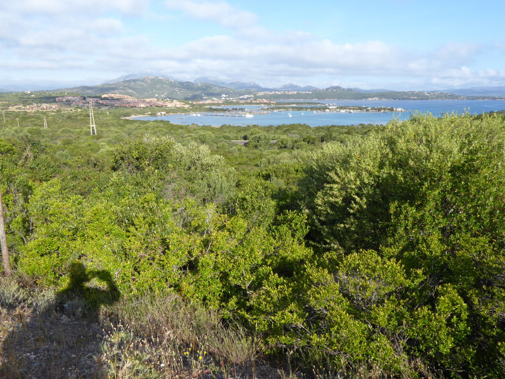 P1000798_1