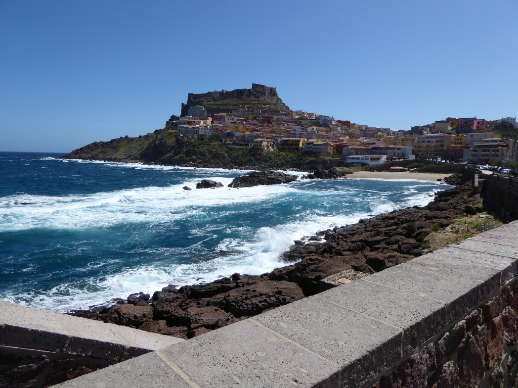 P1000828_1