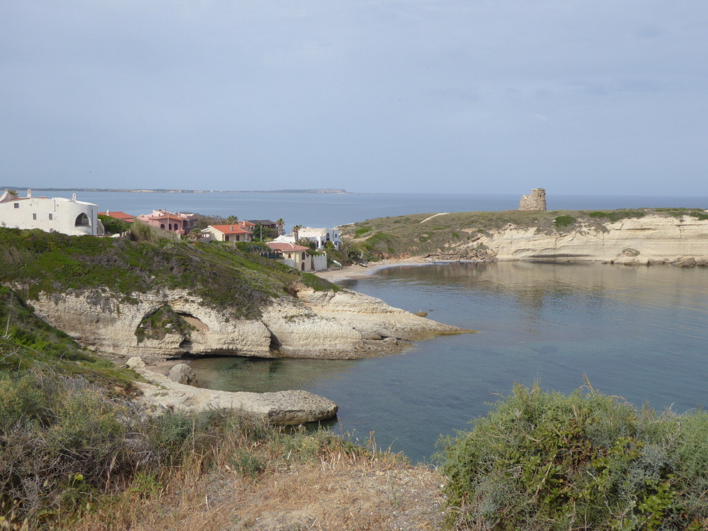 P1000882_1