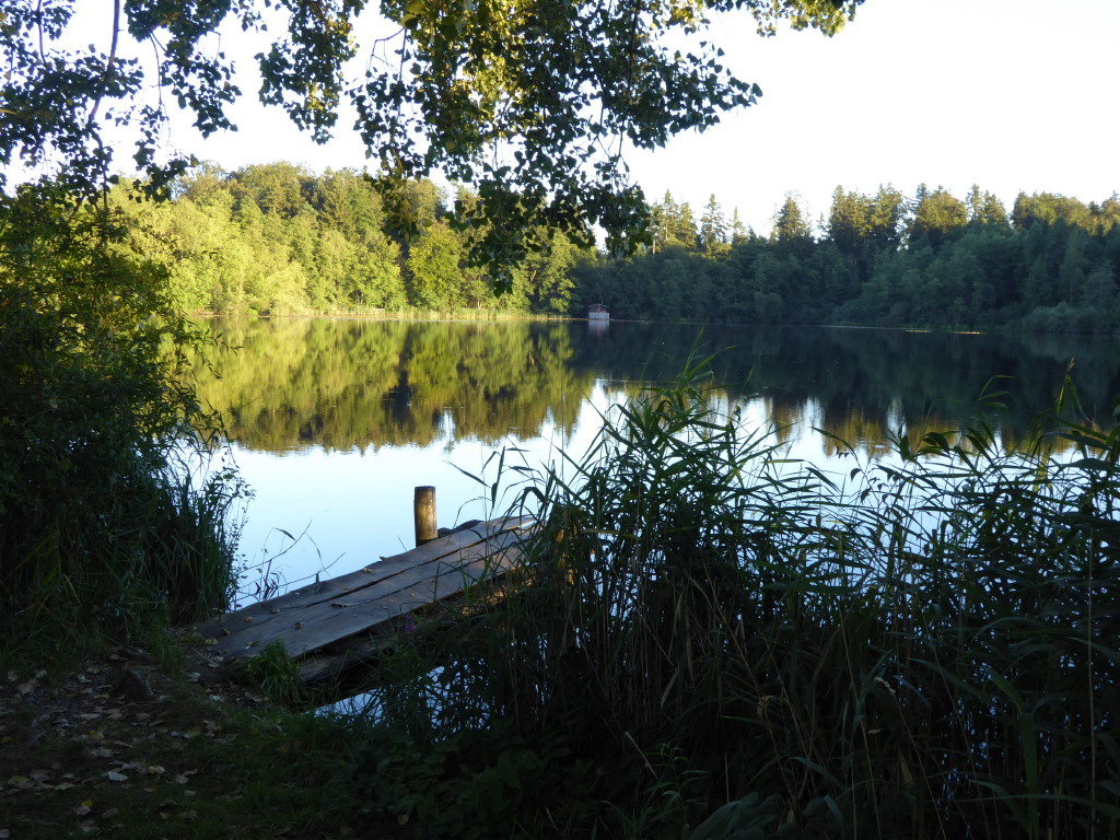 P1000161_1