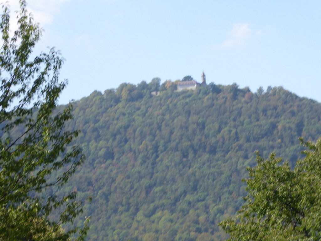 P1000215_1