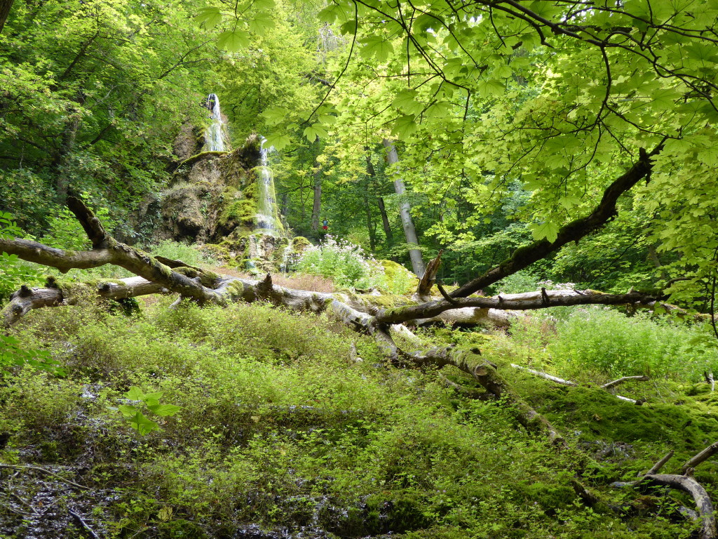 P1000031_1