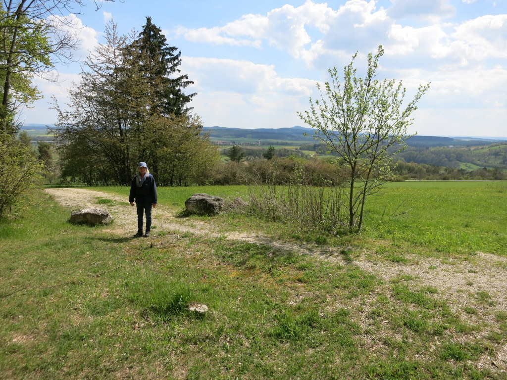 IMG_2004_1