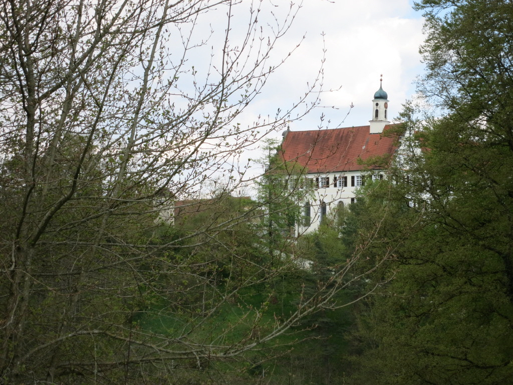 IMG_2007_1