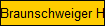 Braunschweiger H1920